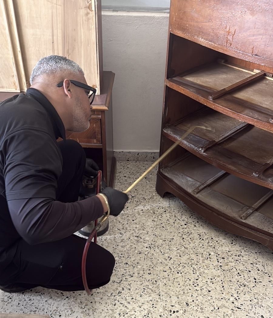 Fumigación profesional